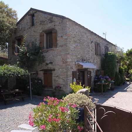 A Casa Di Paulina Bed and Breakfast Casta Εξωτερικό φωτογραφία