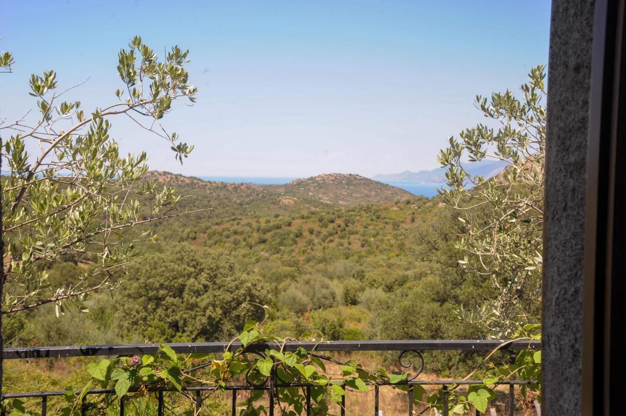 A Casa Di Paulina Bed and Breakfast Casta Εξωτερικό φωτογραφία