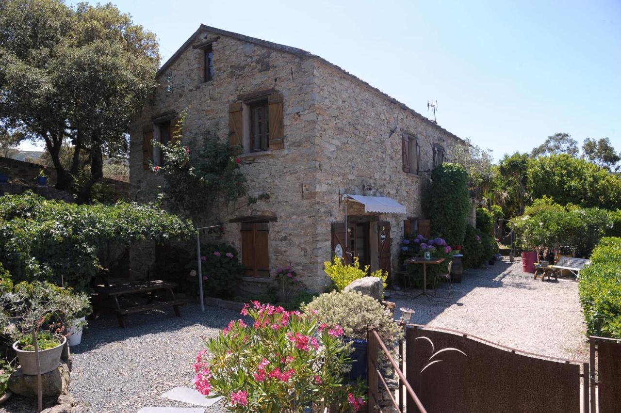 A Casa Di Paulina Bed and Breakfast Casta Εξωτερικό φωτογραφία