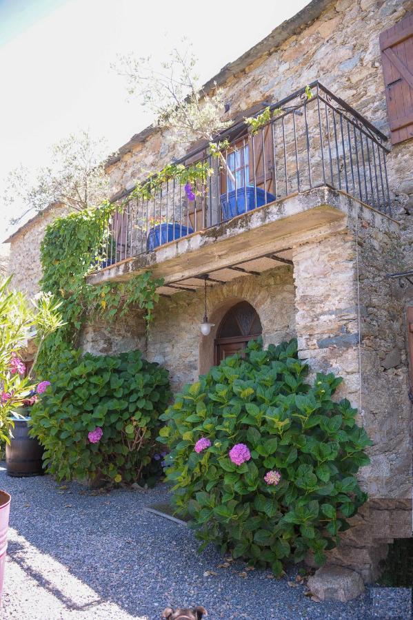 A Casa Di Paulina Bed and Breakfast Casta Εξωτερικό φωτογραφία